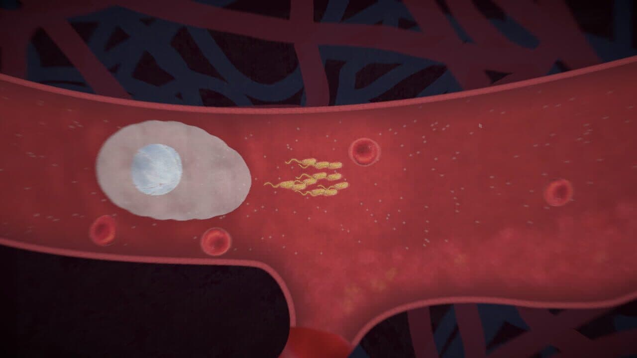 Biorhythm thumbnail 3