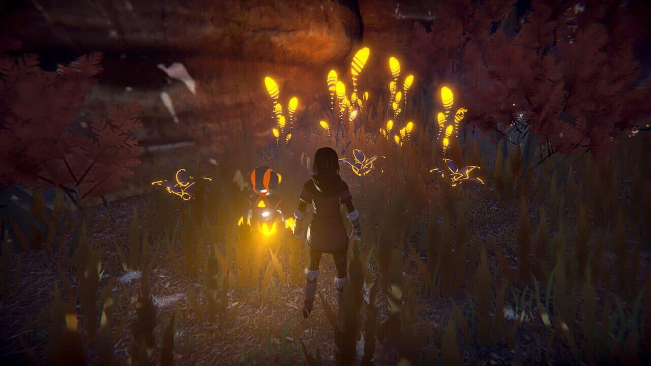 Seed of Life thumbnail 9