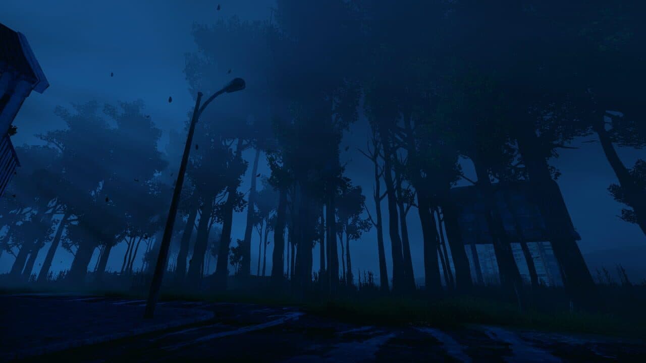 Nightwalk thumbnail 5
