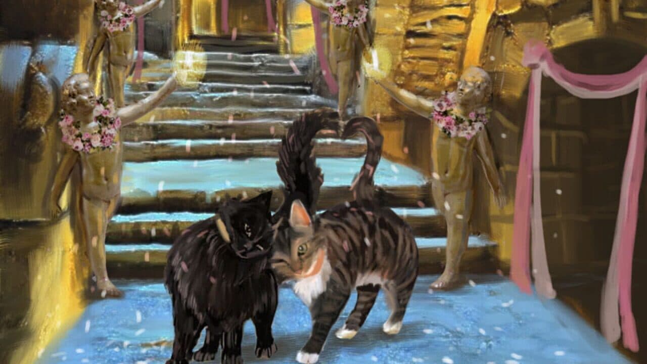 The Nine Lives of Nim: Fortune's Fool thumbnail 4