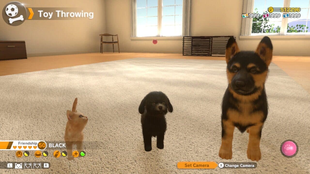 Little Friends: Dogs & Cats thumbnail 8