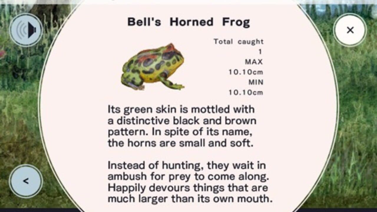 Frog Minutes screenshot 1
