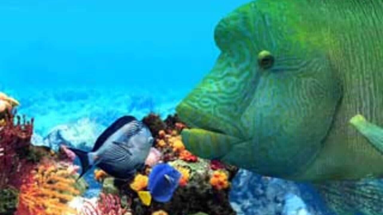 Fish Life thumbnail 3