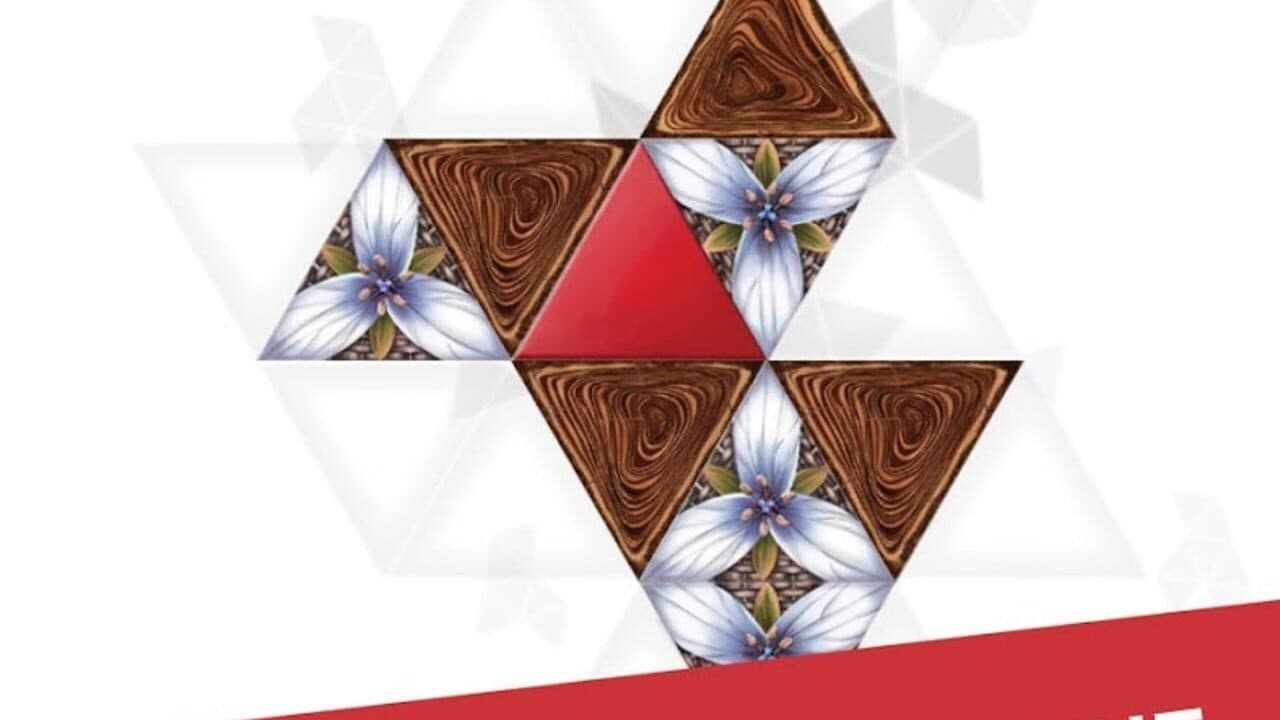 Triangul8 screenshot 1