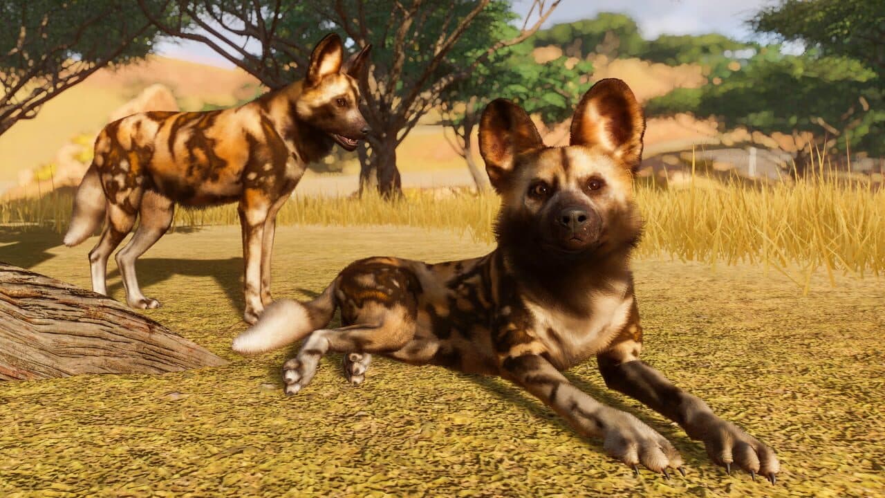 Planet Zoo thumbnail 8