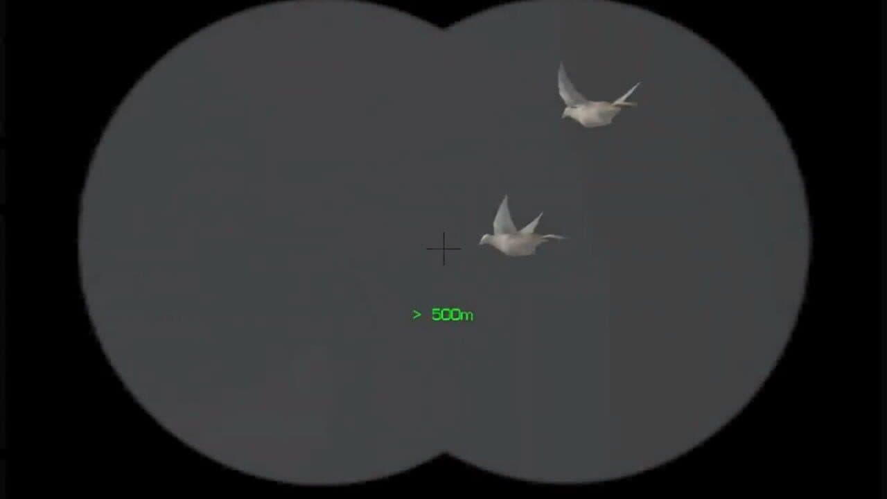 Bird Hunter 2003: Legendary Hunting thumbnail 3