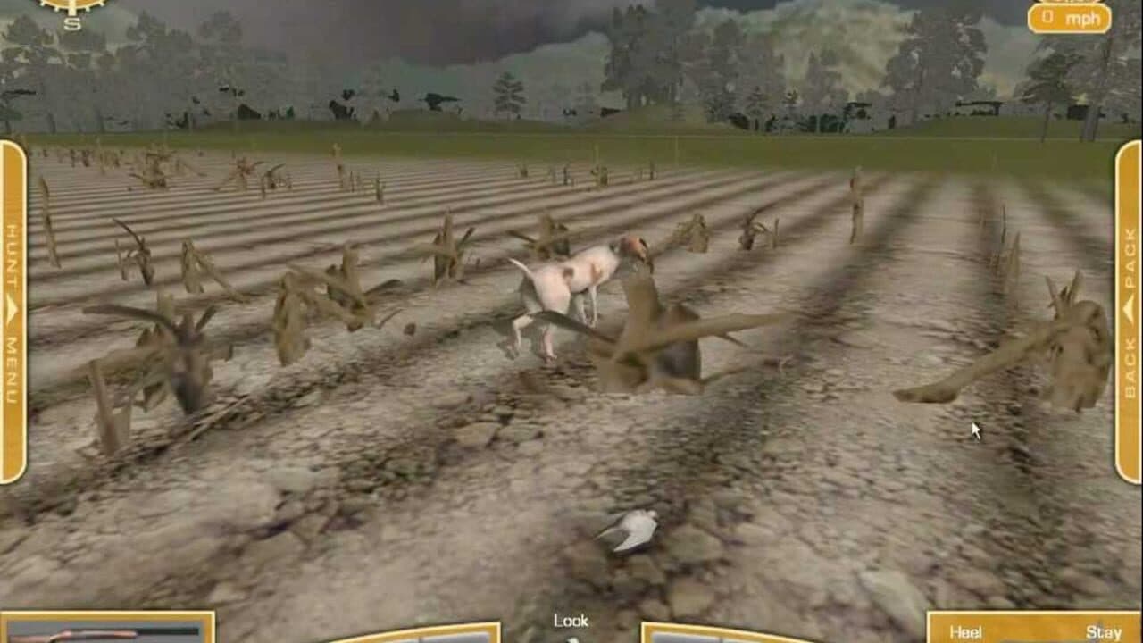 Bird Hunter 2003: Legendary Hunting thumbnail 2