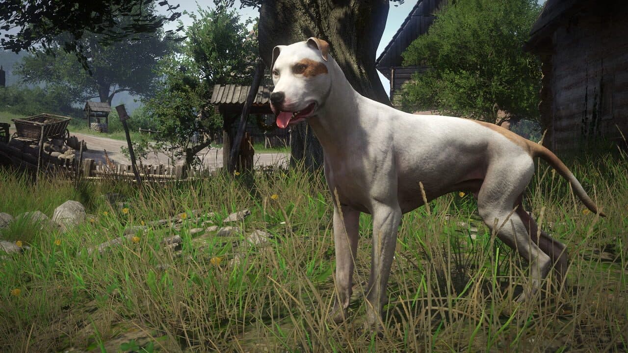 Kingdom Come: Deliverance - A Woman's Lot thumbnail 4
