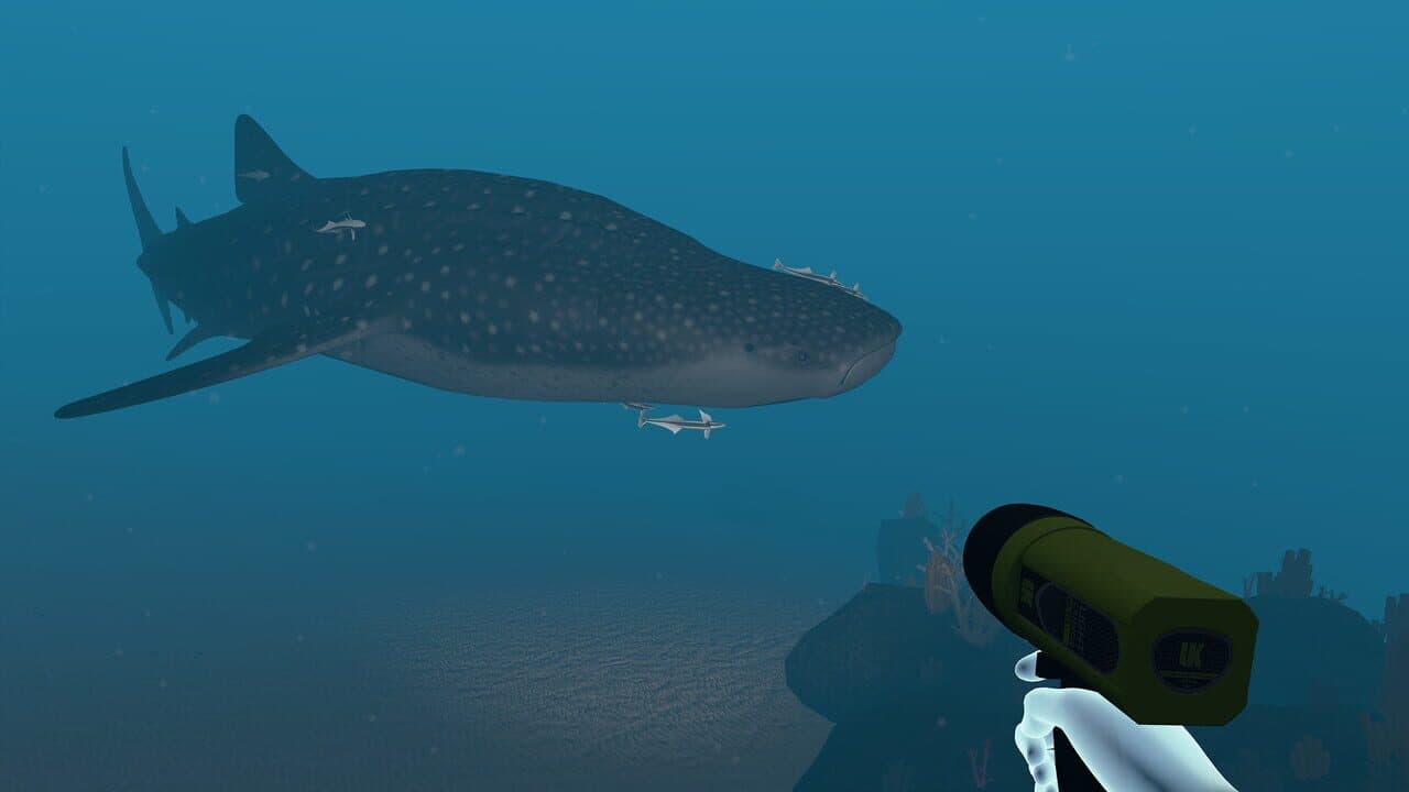 Dive with Sylvia VR thumbnail 4