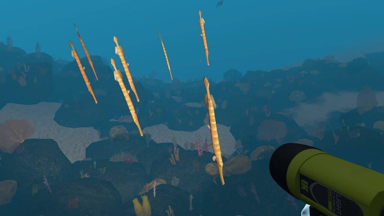Dive with Sylvia VR thumbnail 7