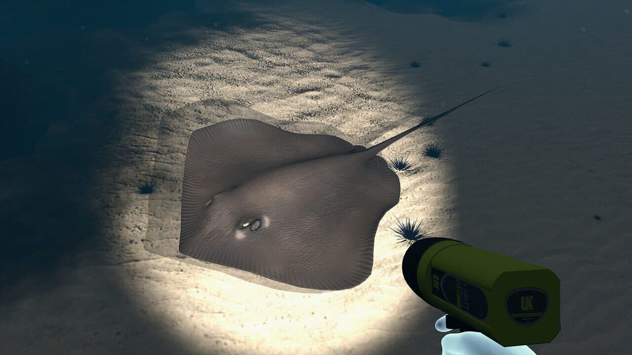 Dive with Sylvia VR thumbnail 12