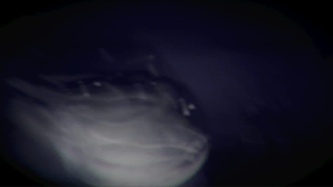 Night Signal thumbnail 3