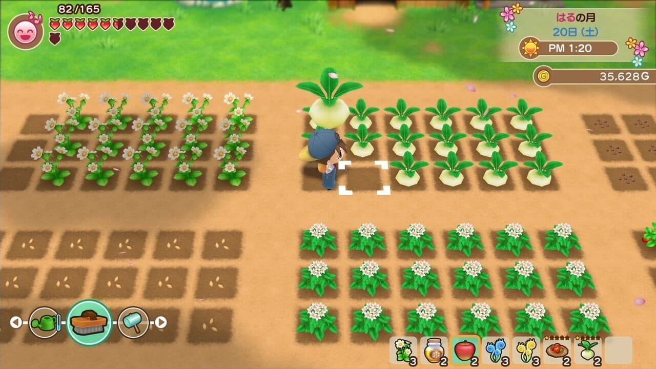 Story of Seasons: Friends of Mineral Town thumbnail 2