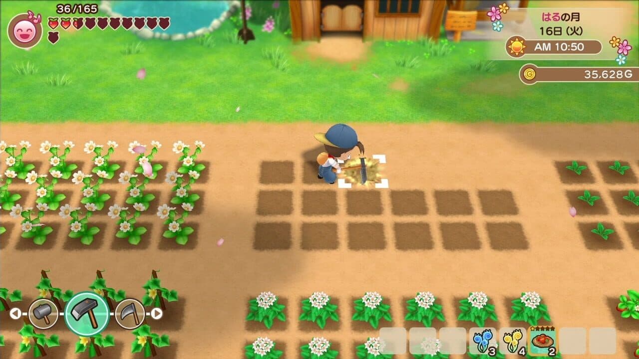 Story of Seasons: Friends of Mineral Town thumbnail 4