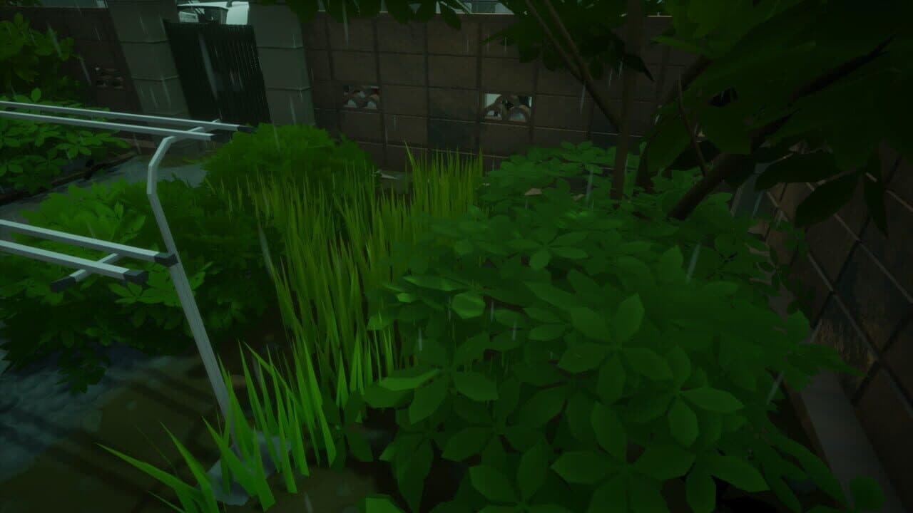 Rainy Season thumbnail 3