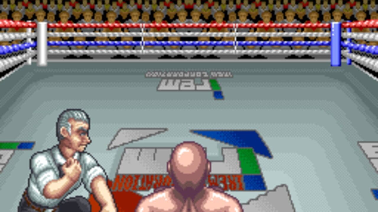 Pound For Pound screenshot 1