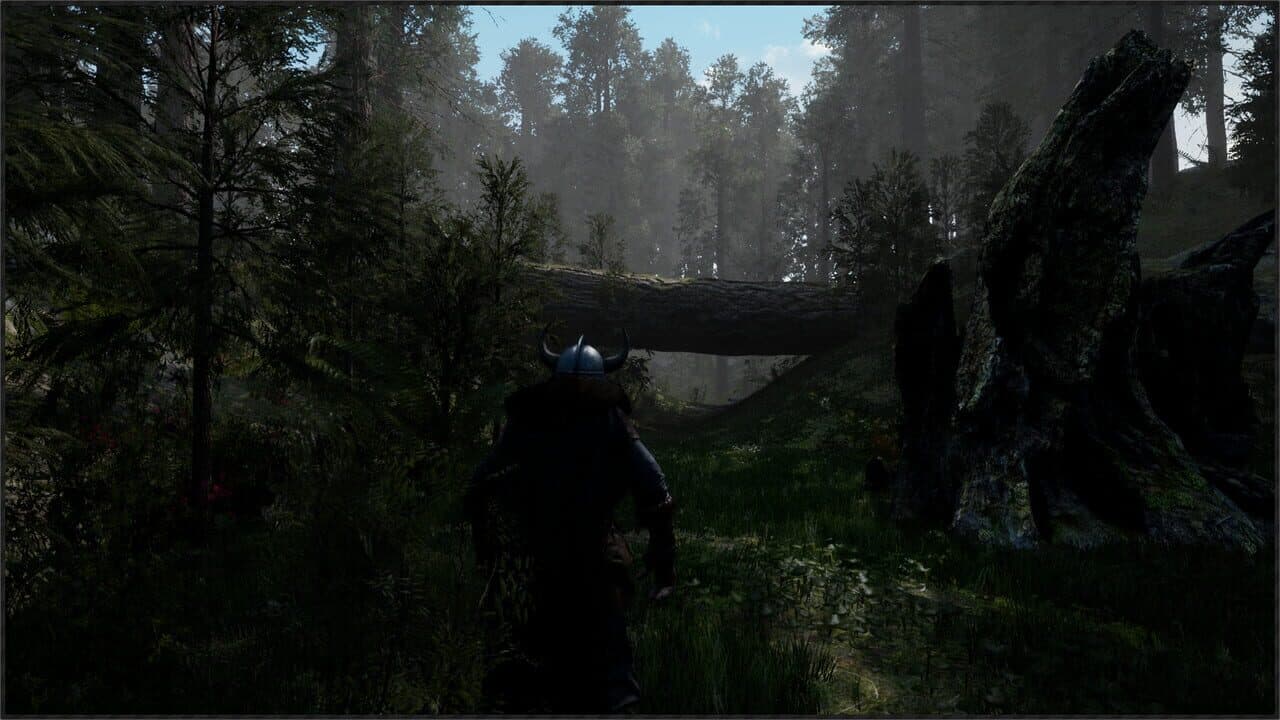 Einn thumbnail 2