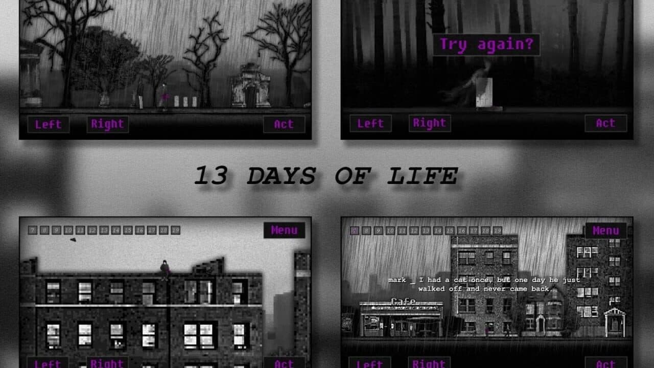 13 Days of Life thumbnail 2