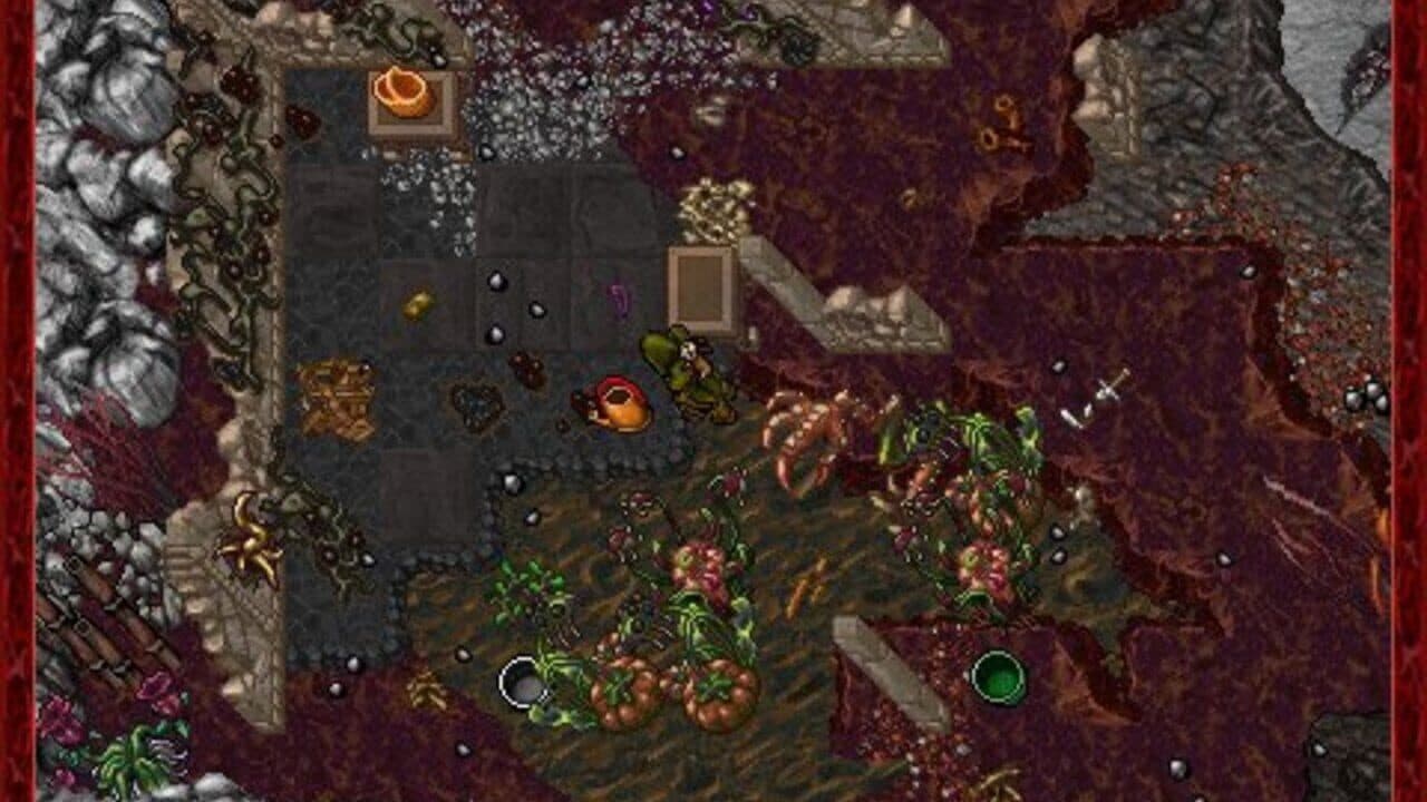 Tibia screenshot 1