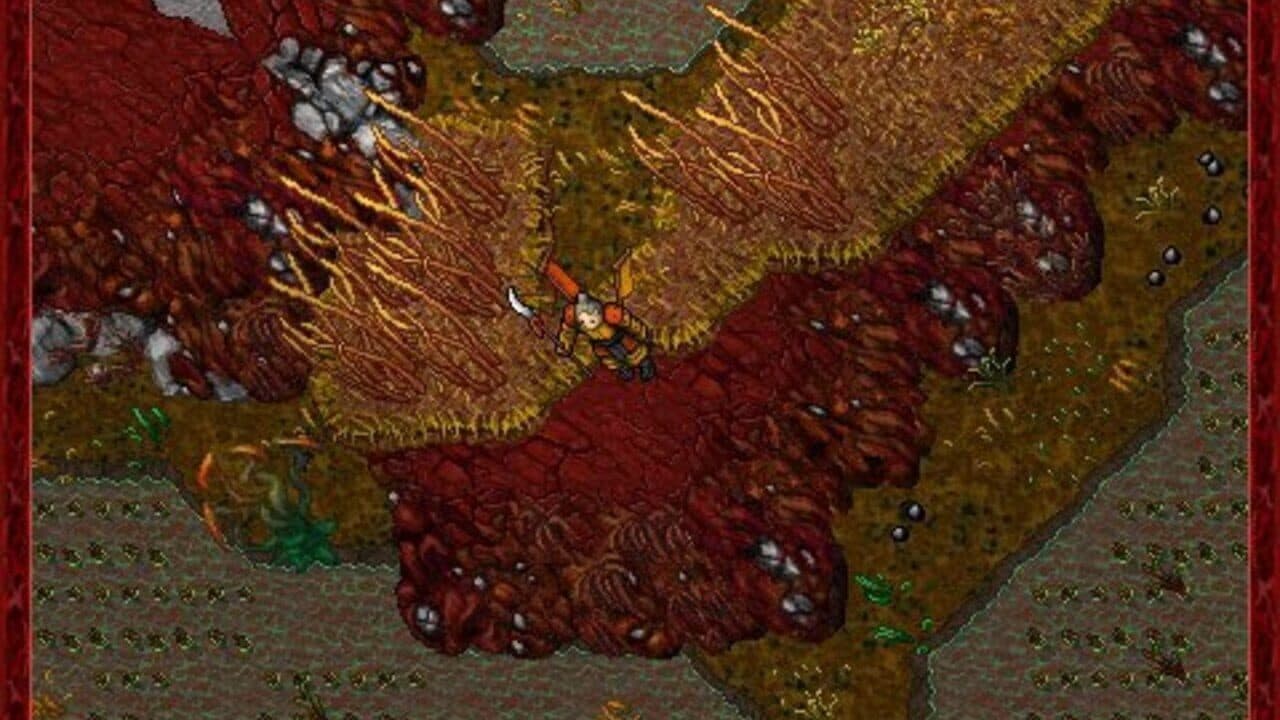 Tibia thumbnail 6
