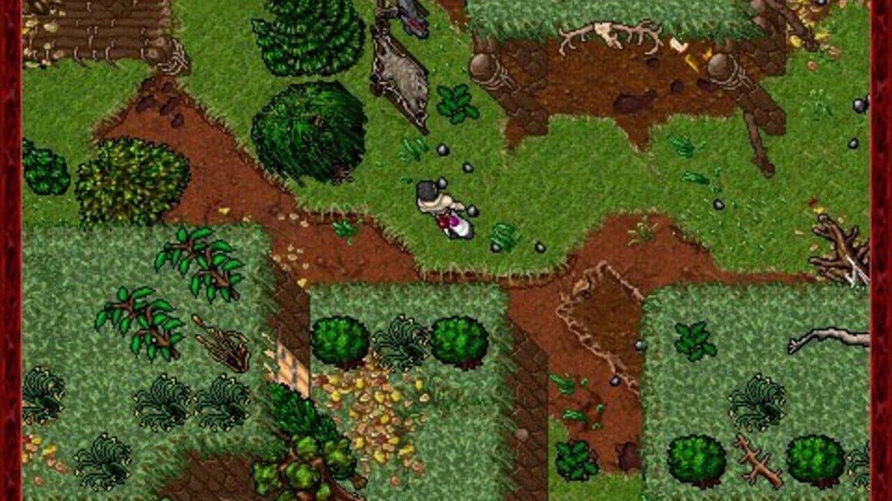Tibia thumbnail 3