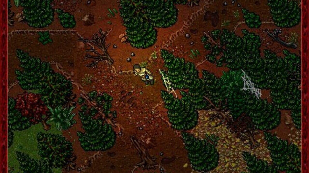 Tibia thumbnail 4