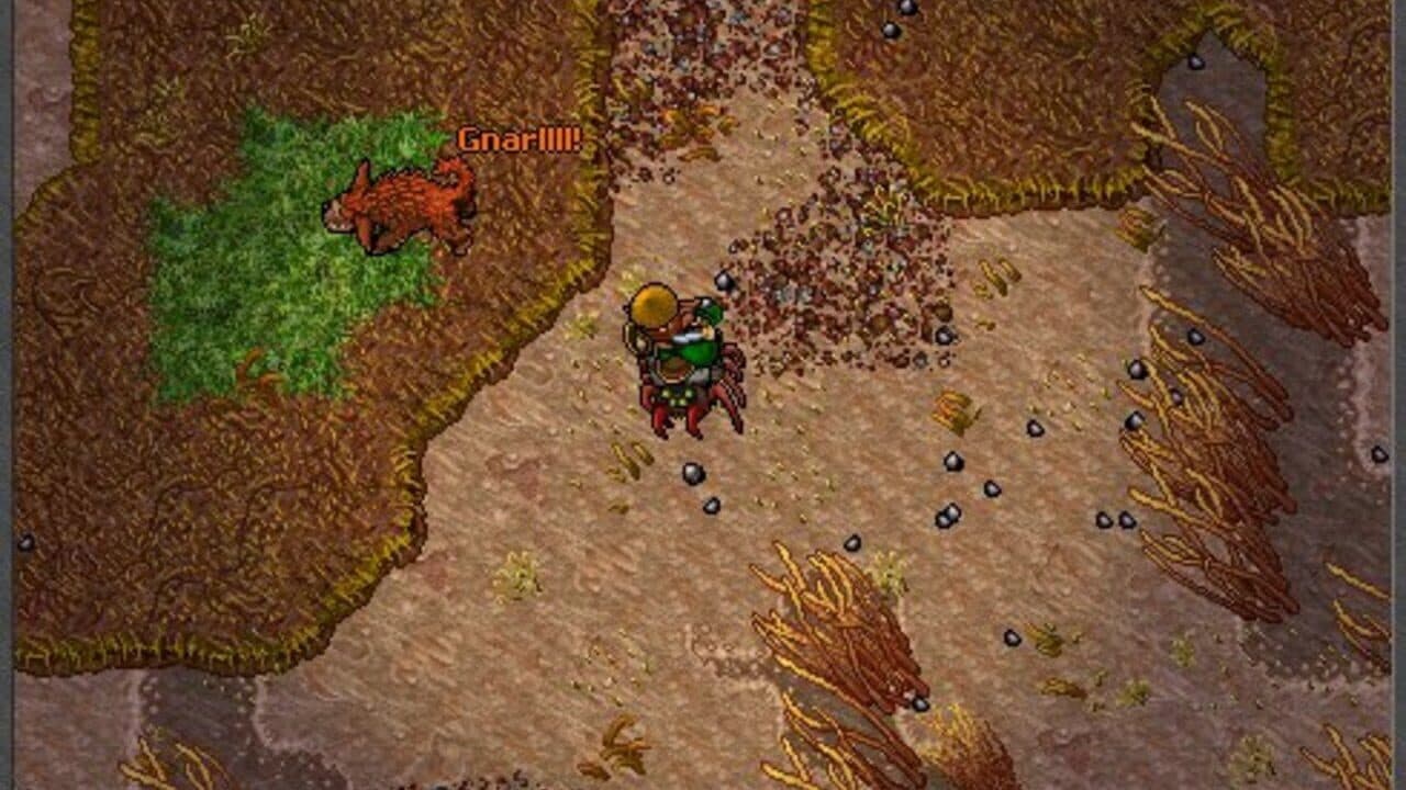 Tibia thumbnail 8