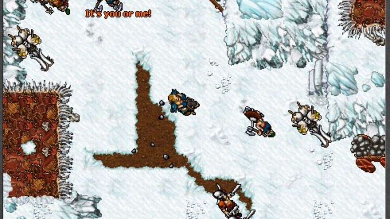 Tibia thumbnail 5