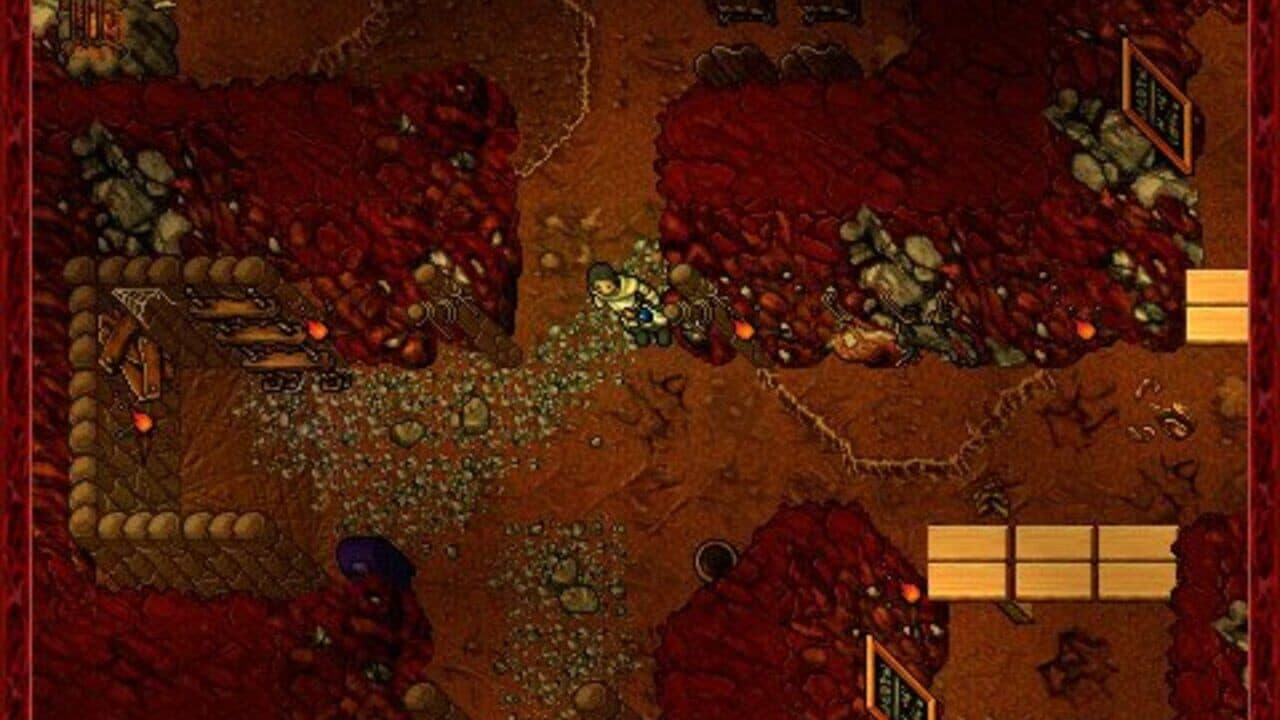 Tibia thumbnail 7