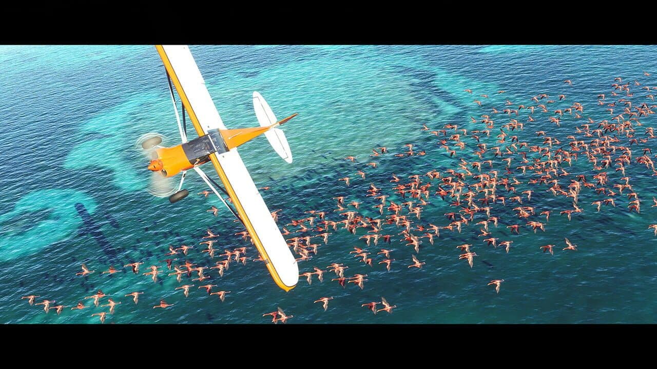 Microsoft Flight Simulator thumbnail 4