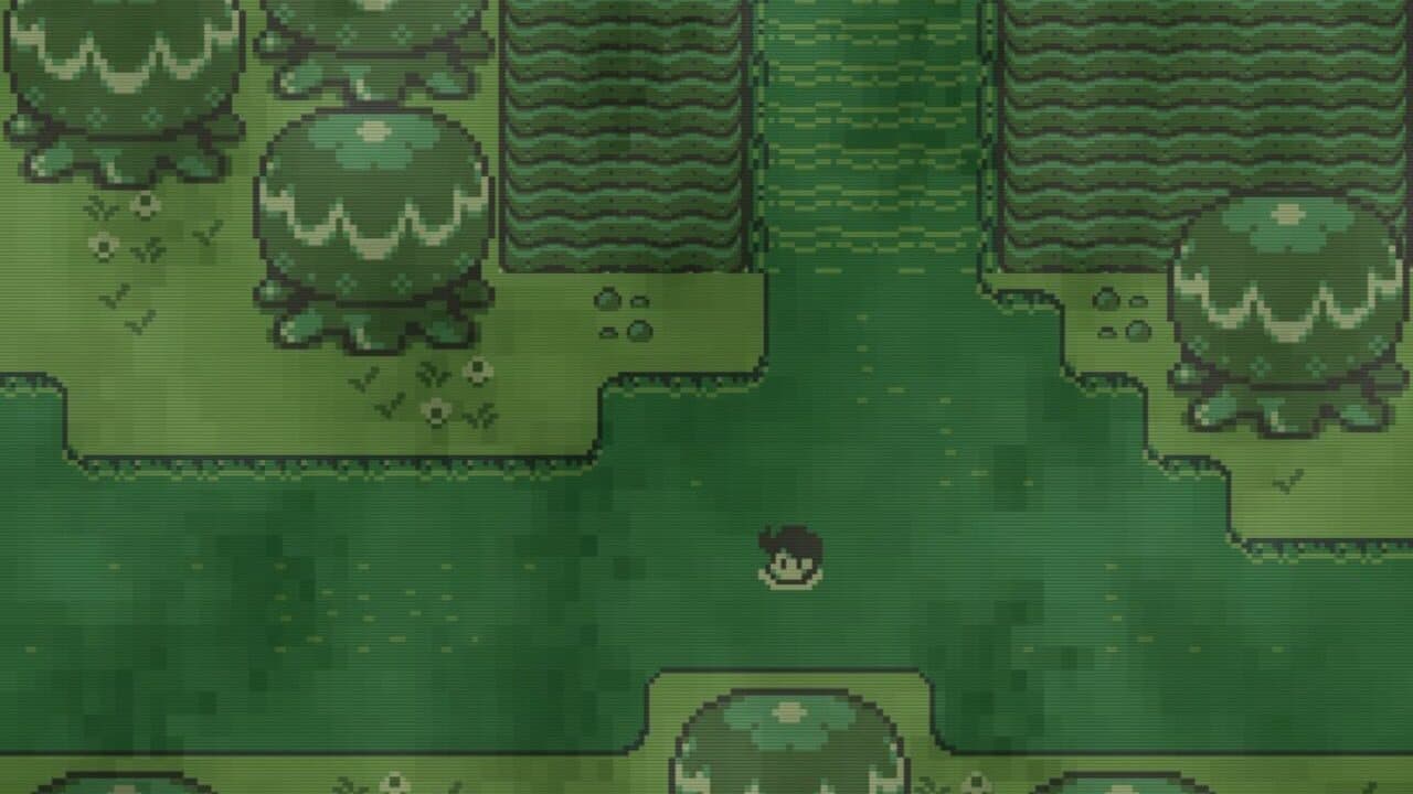 Timothy and the Mysterious Forest thumbnail 11