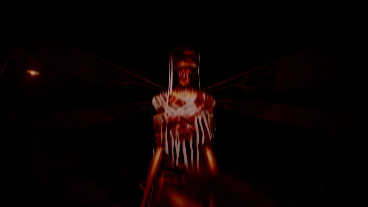 Pulang Insanity: Director's Cut thumbnail 4