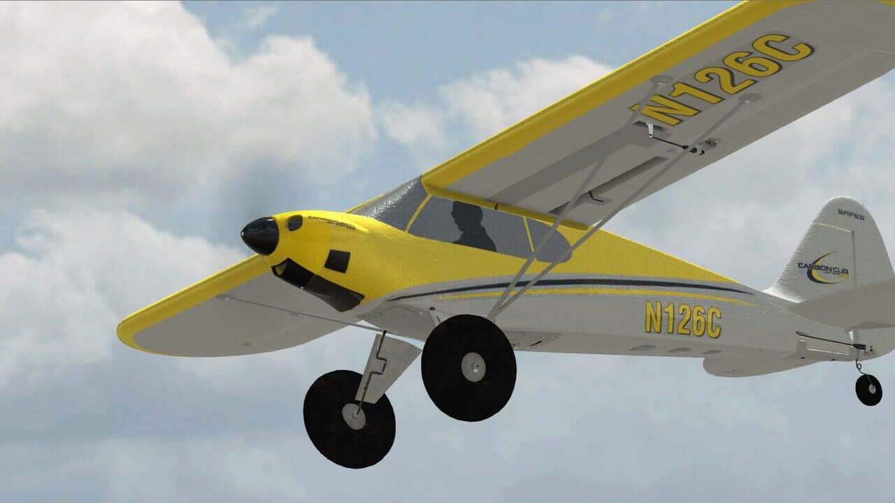 RealFlight 9 thumbnail 8