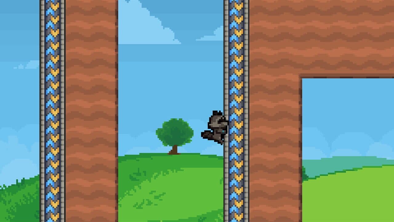 Rift Racoon thumbnail 3