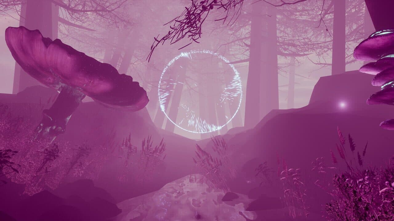Anima thumbnail 2