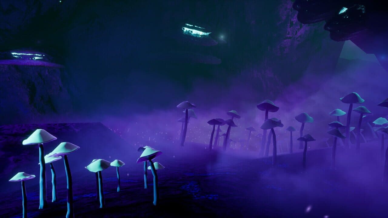 Anima thumbnail 5
