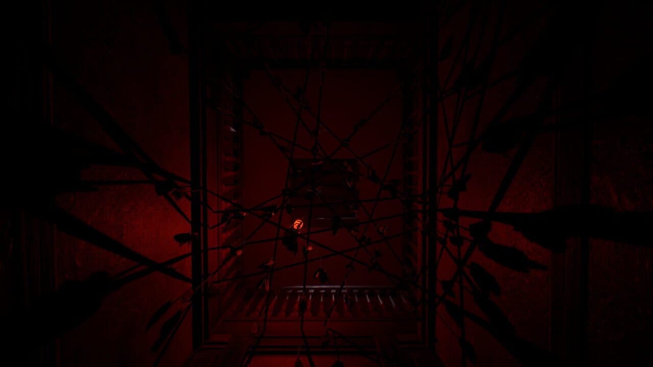 Diastone: Confusion thumbnail 3