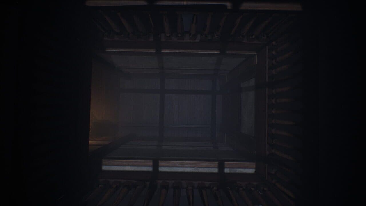 Diastone: Confusion screenshot 1
