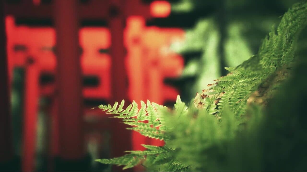 Explore Fushimi Inari thumbnail 10