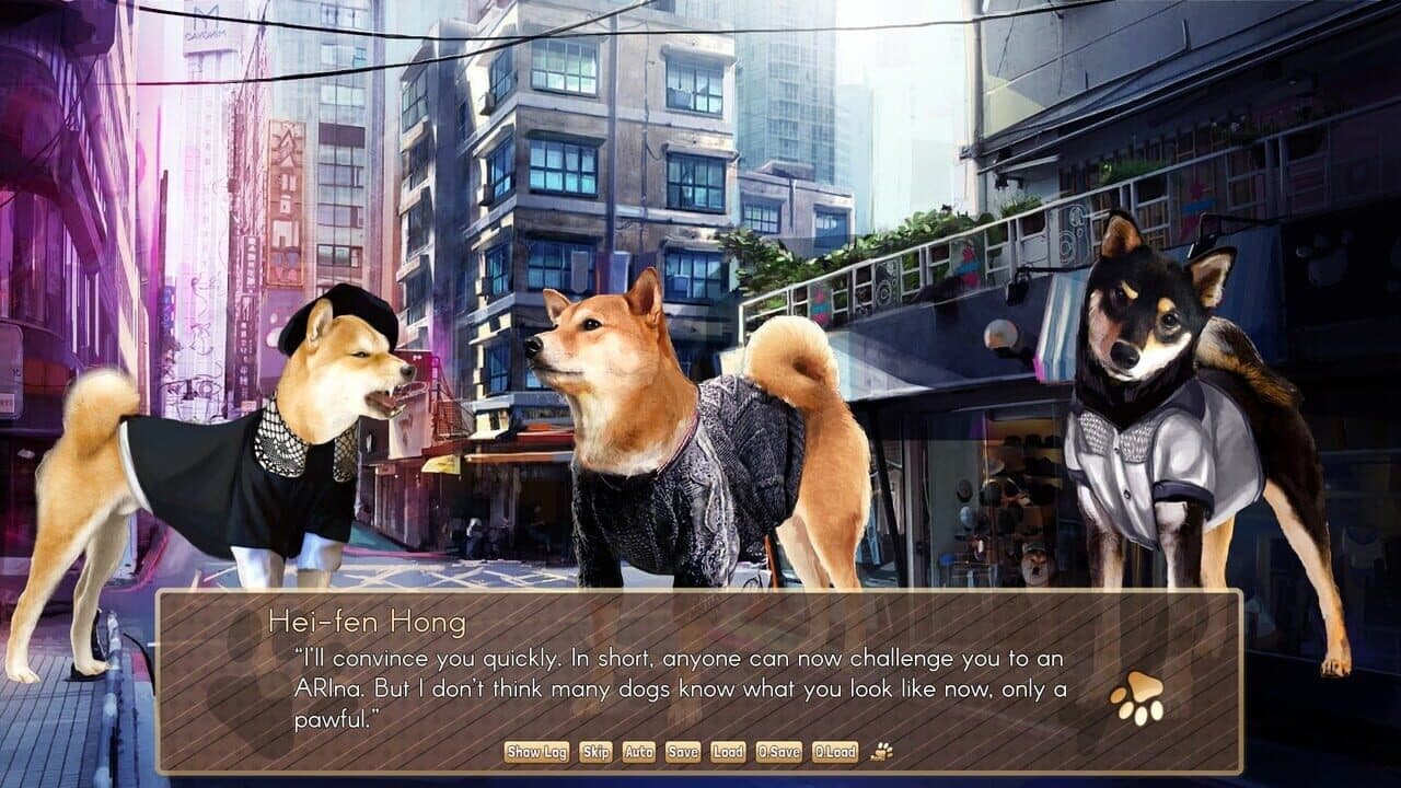 A Summer with the Shiba Inu thumbnail 3