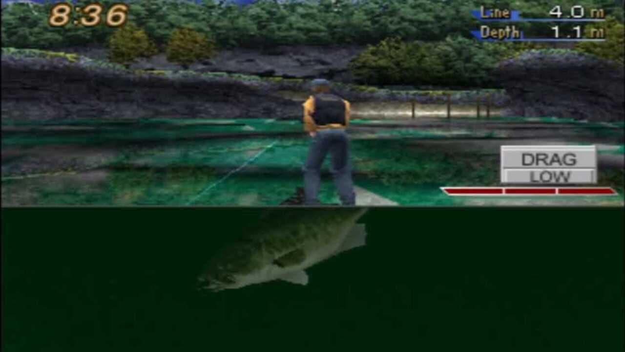 Championship Bass thumbnail 2