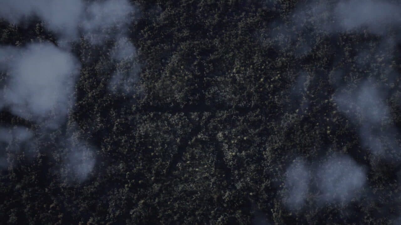 Blair Witch thumbnail 6