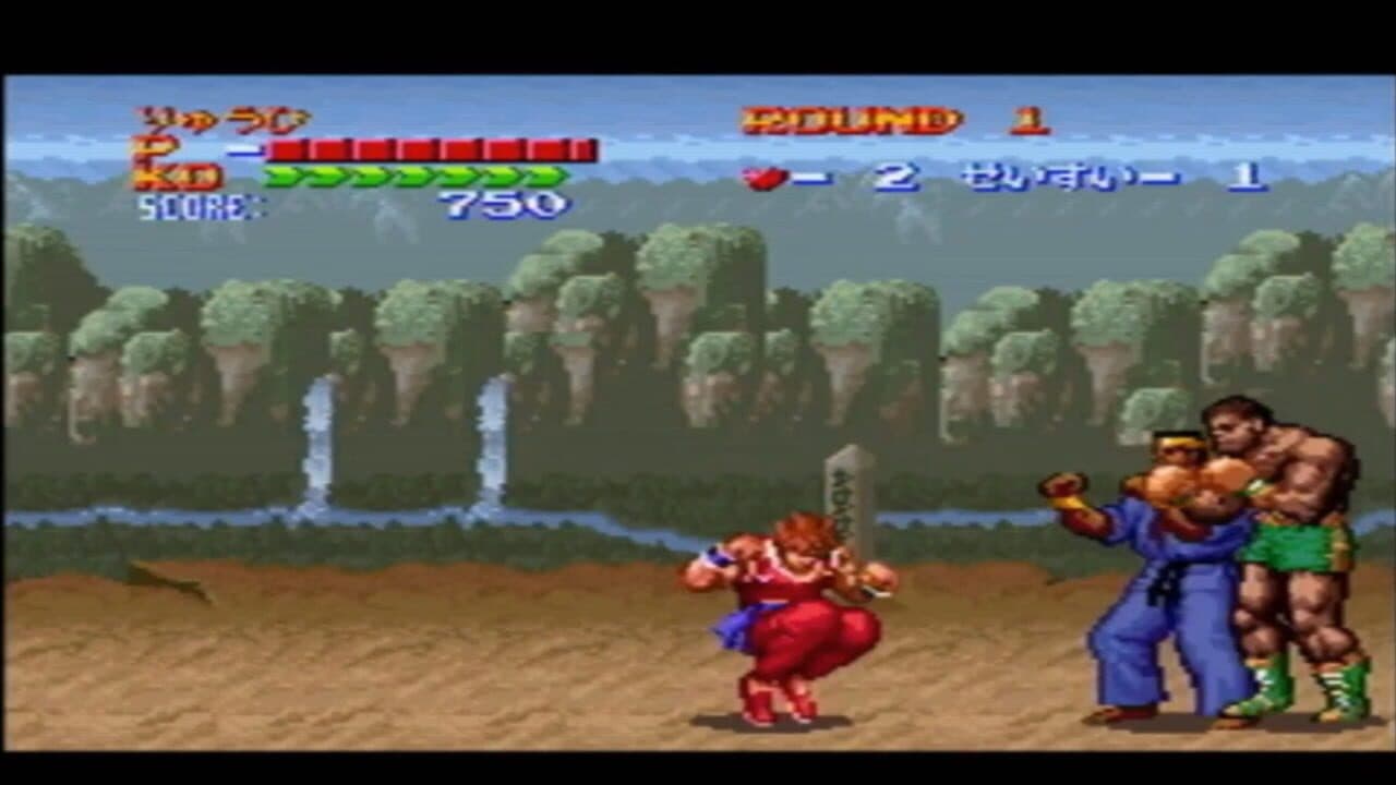 Hiryuu no Ken S: Golden Fighter thumbnail 2