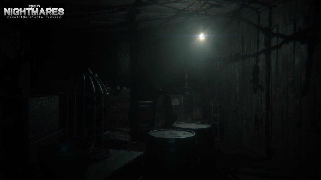 Project Nightmares Case 36: Henrietta Kedward thumbnail 8