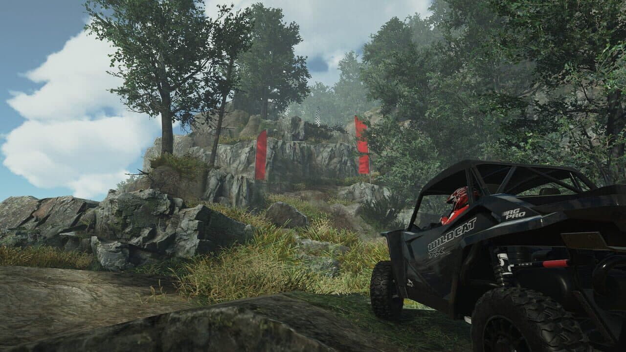 Overpass thumbnail 2