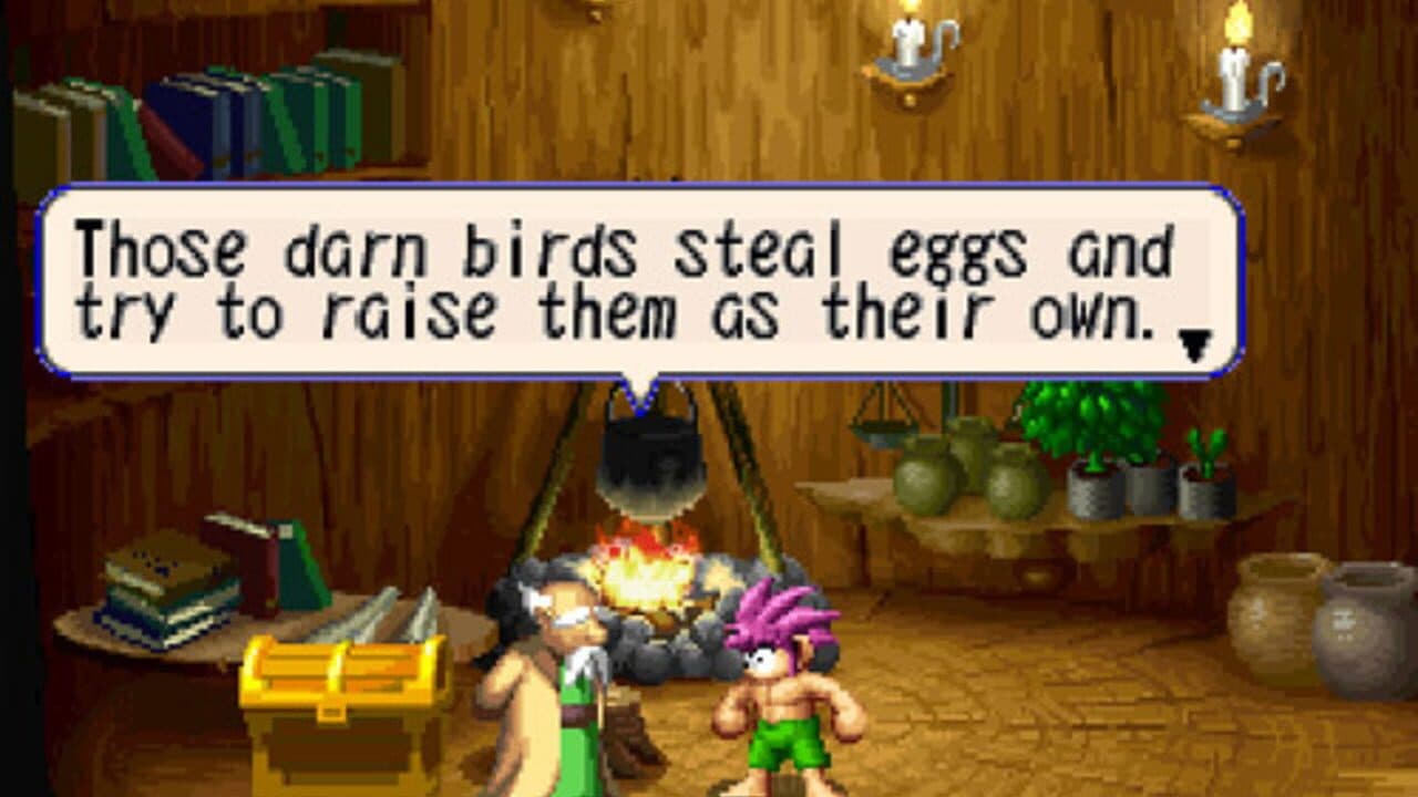 Tomba! thumbnail 3