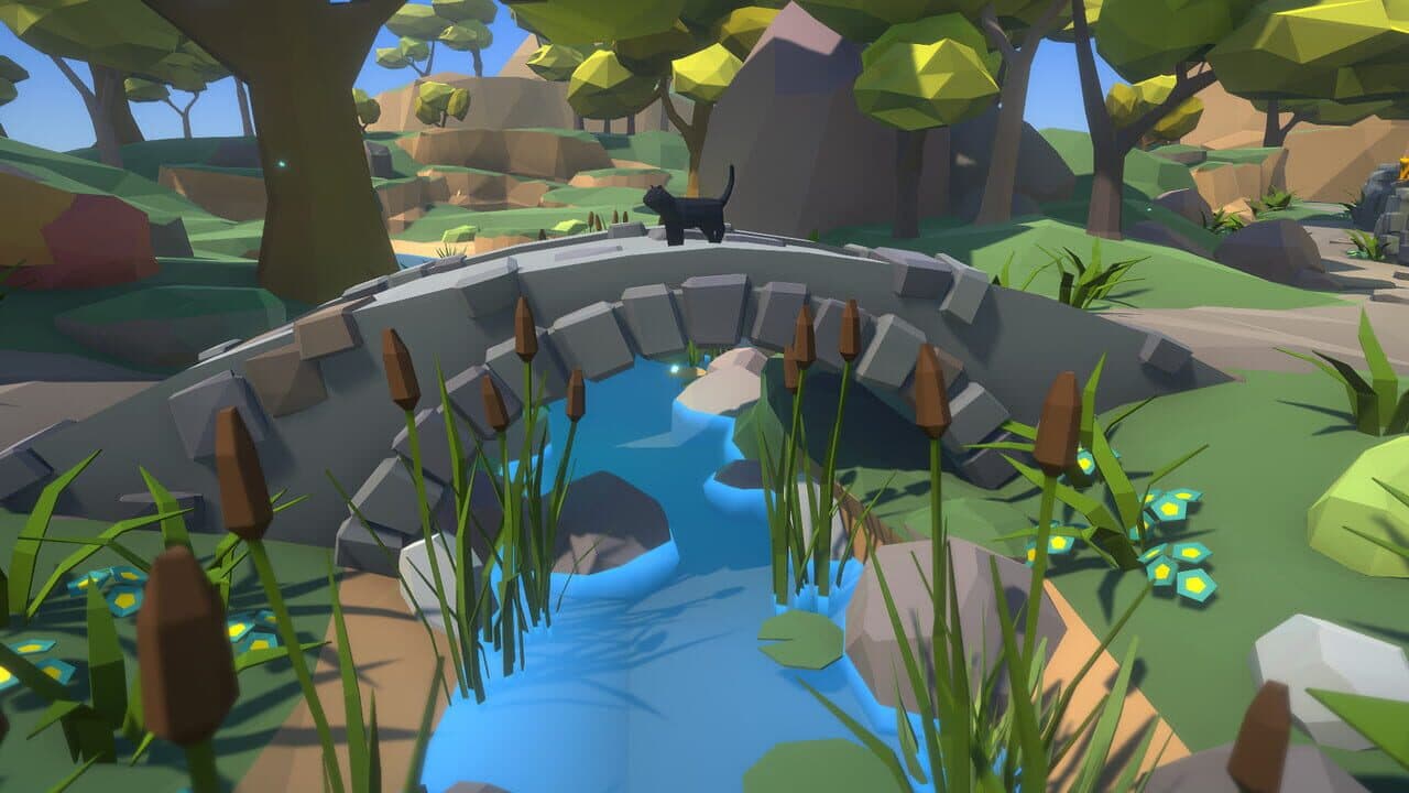 Summer Paws thumbnail 3