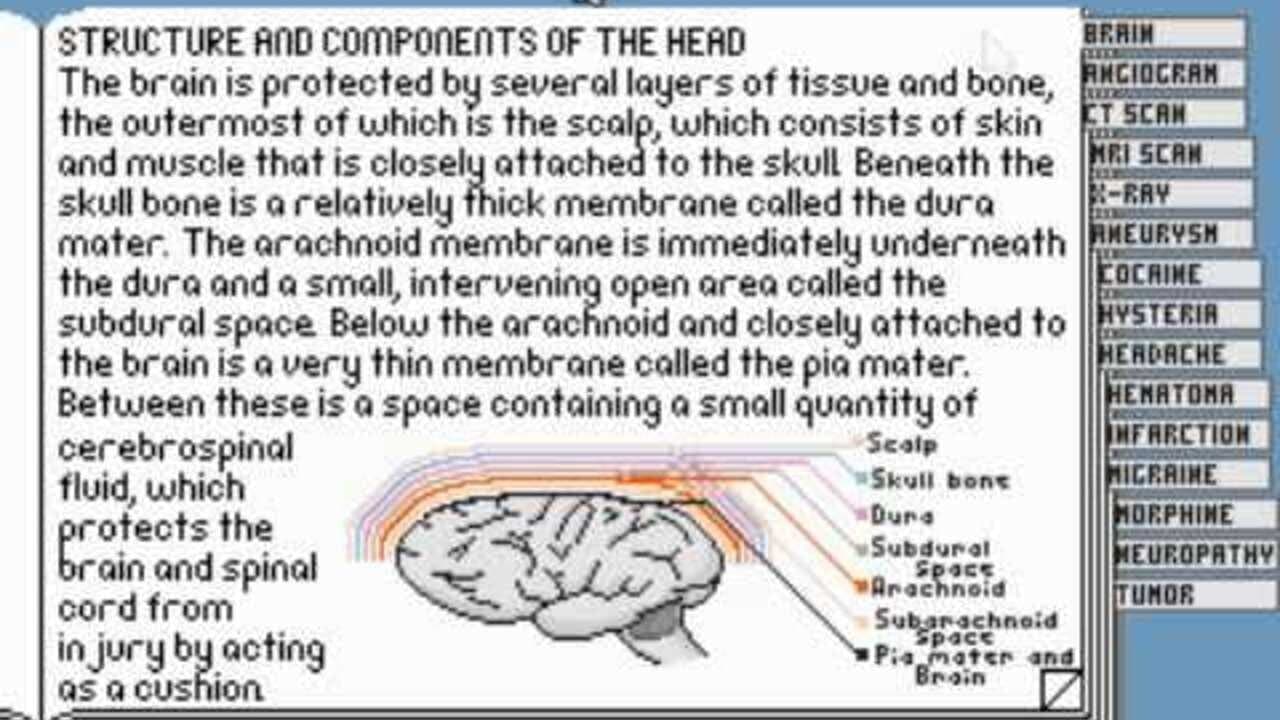 Life & Death II: The Brain thumbnail 4