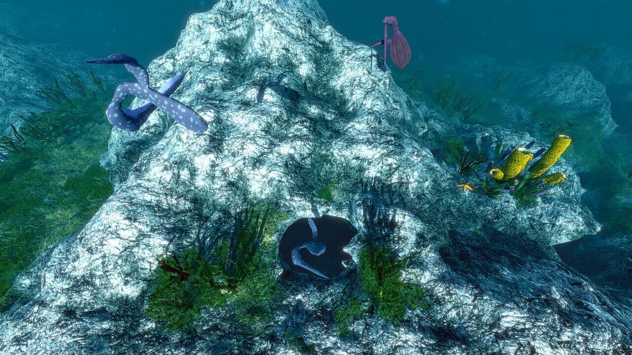 Ecosystem thumbnail 4