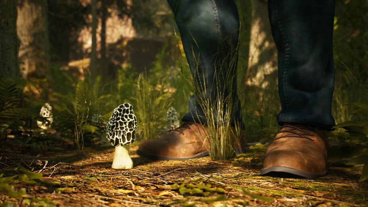 Morels: The Hunt thumbnail 3